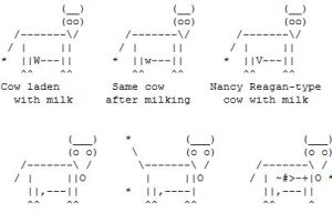 1253854919_cows