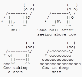 ascii-cows